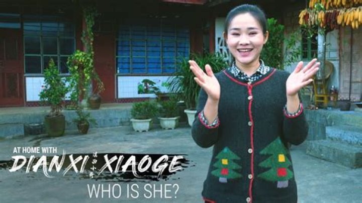滇西小哥 Dianxi Xiaoge Youtuber overview