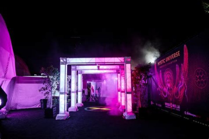 Hire Hippie Sabotage for a Corporate Event or Performance Booking.