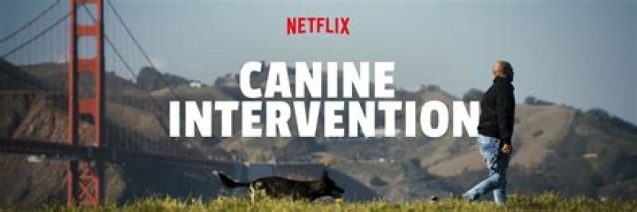 Jas Leverette Wife - Cali K9 Of Netflix Series Canine Intervention Is Married And Has A Son