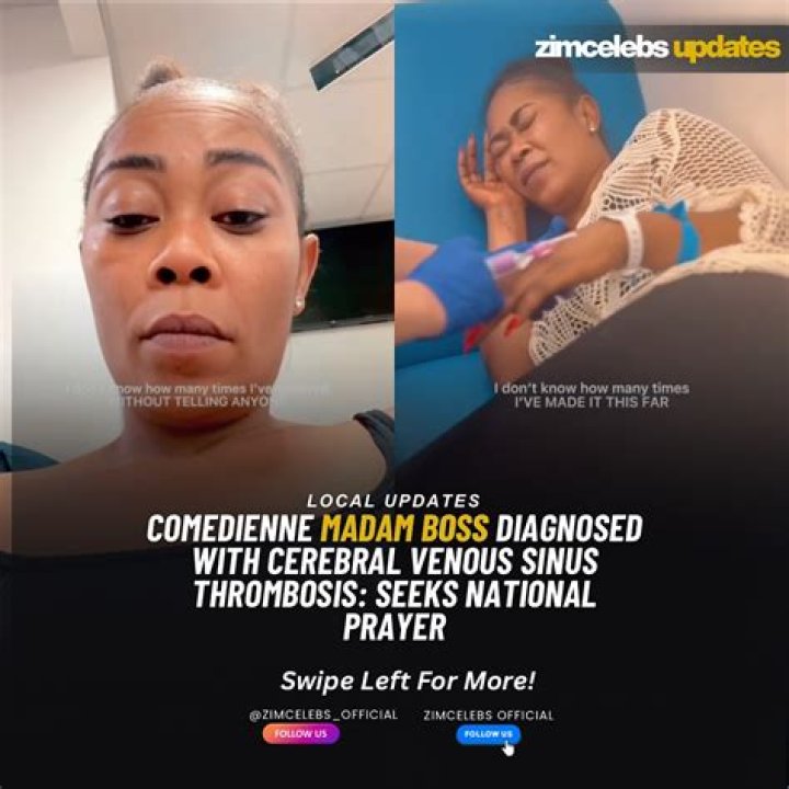 MADAM BOSS Youtuber overview