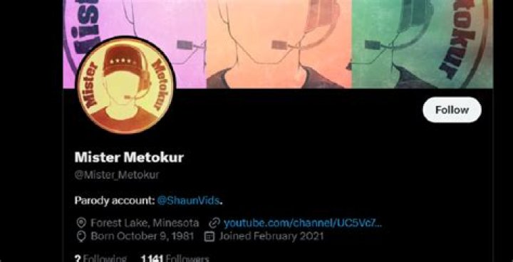 Mister Metokur video statistics