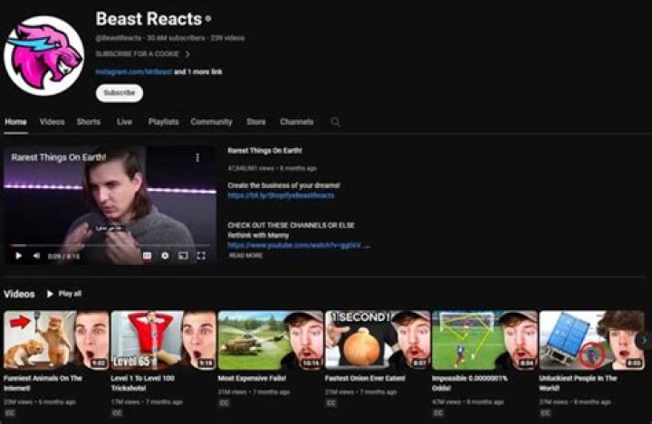 Similar Youtubers to Beast Reacts