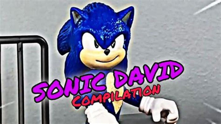 Sonic David Youtuber overview