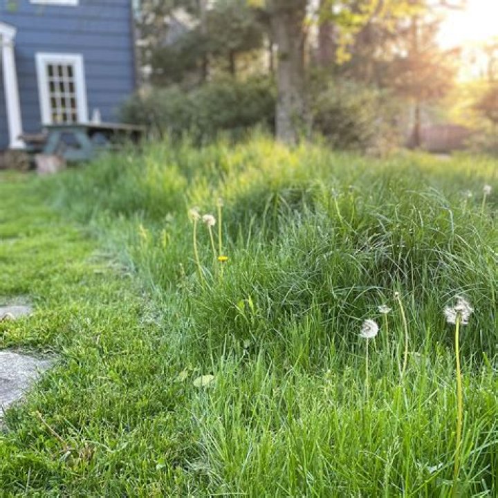 The Grass Is Greener Expands To Canberra For 2022