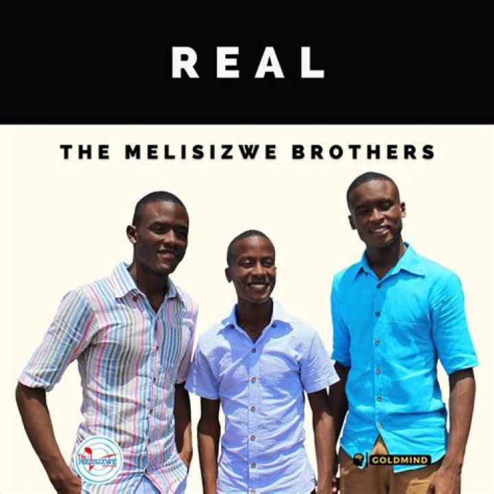 The Melisizwe Brothers net worth, income and estimated earnings of Youtuber channel