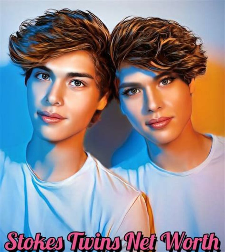 The Rybka Twins net worth, income and estimated earnings of Youtuber channel